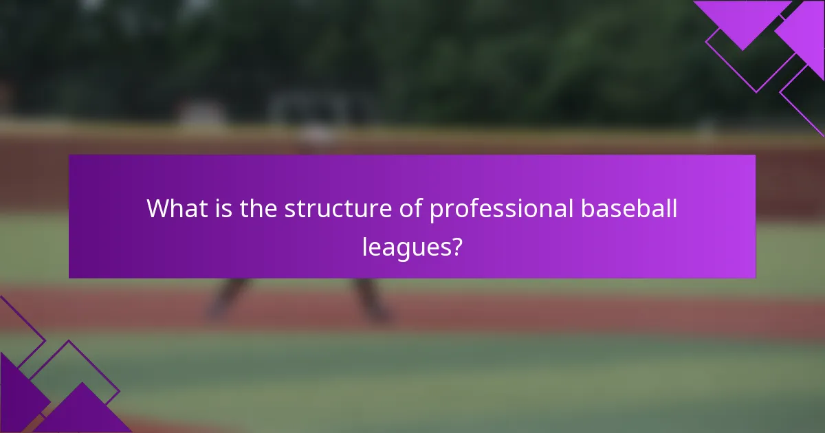 What is the structure of professional baseball leagues?